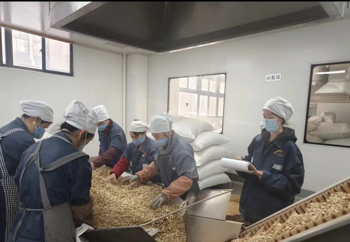 A Qingdao Biohoer Biotech Co., Ltd. hivatalosan megkezdte az építkezést