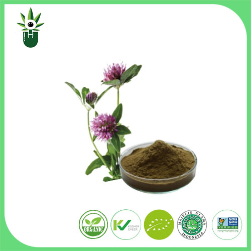 Medicago sativa L kivonat