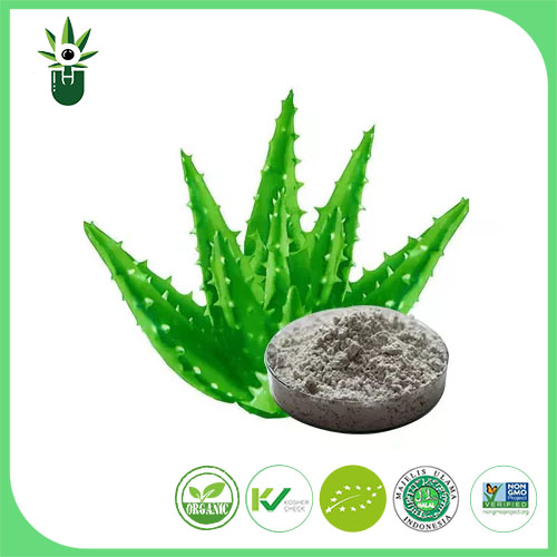 Aloe Vera kivonat