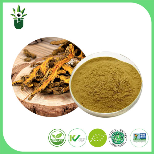 Coptis Chinensis kivonat