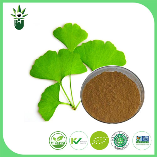 Ginkgo biloba kivonat