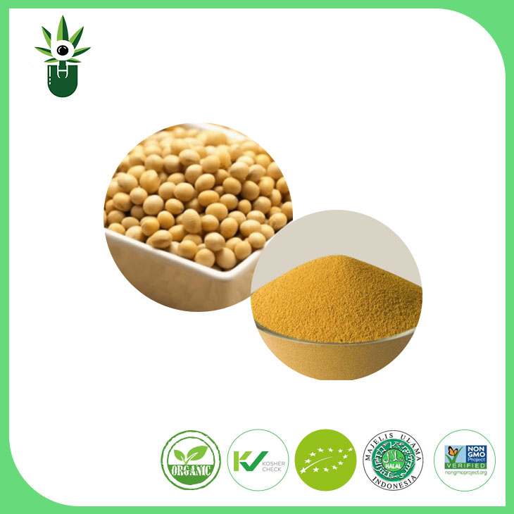 Nem GMO szójabab kivonat Powder 90% szója izoflavonok